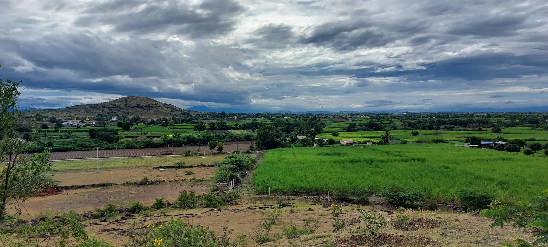 Monsoon Over the Fields