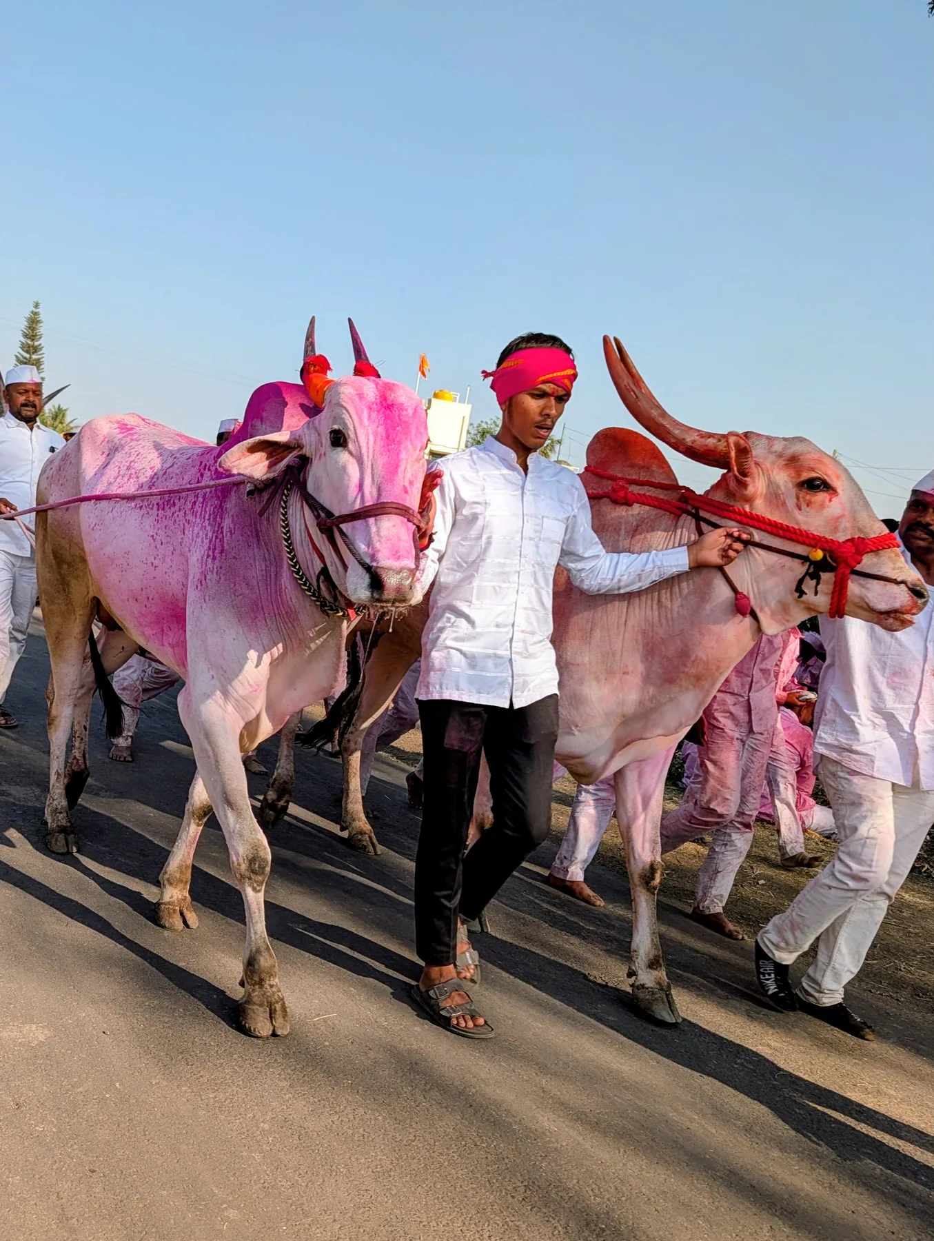 Festival on the Move