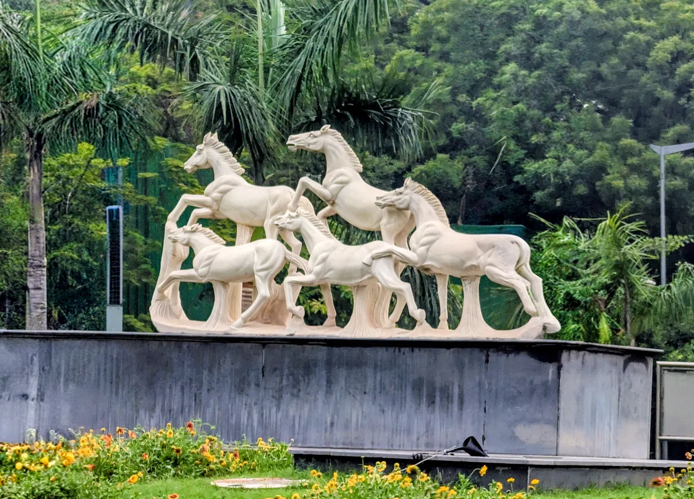 Sculpted Motion