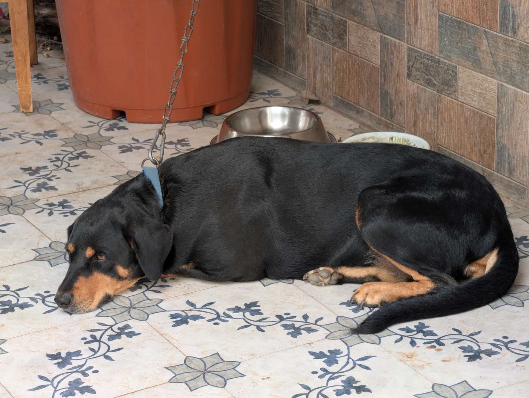 Quiet Afternoon